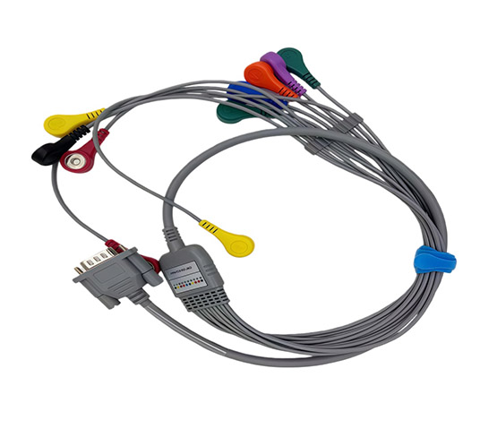 Holter monitoring leads