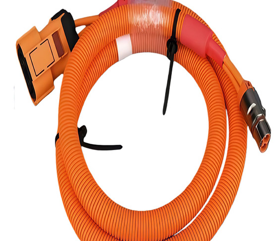 New energy vehicle power cord